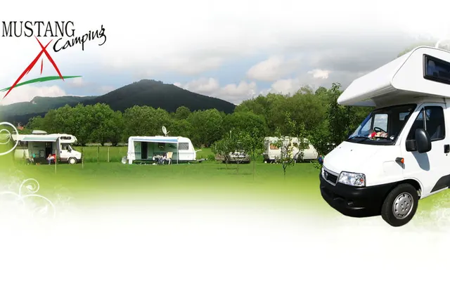 Camping Mustang