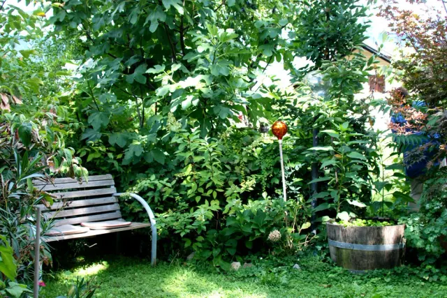 Camping zum guten Tropfen