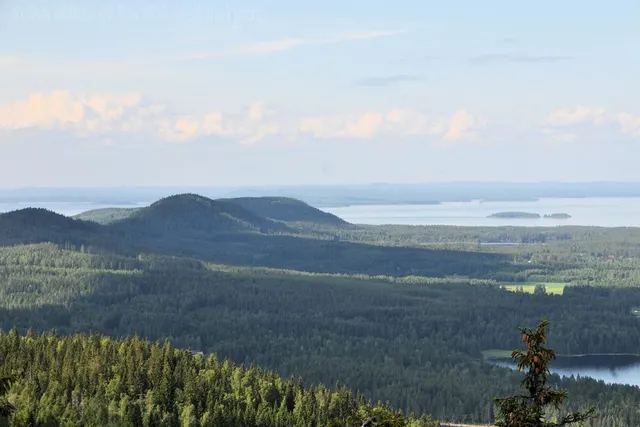 Koli Freetime