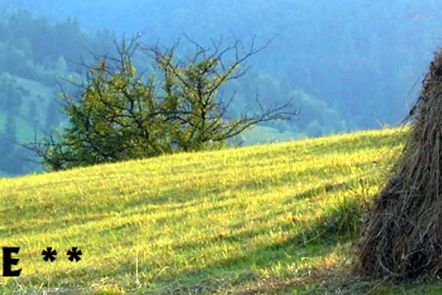 Camping Zamolxe
