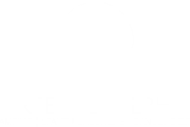 Dolphin Camping