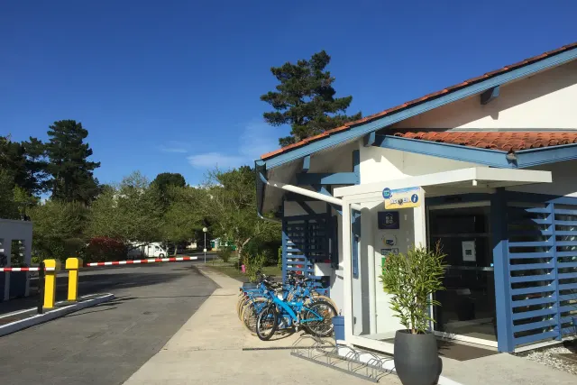 Camping Municipal Les Pins Bleus