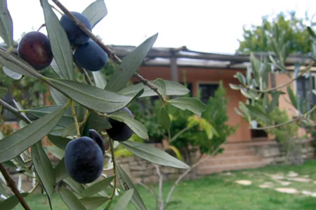 Troia Pension & Camping
