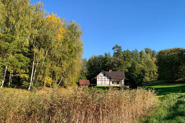 Sveikuli