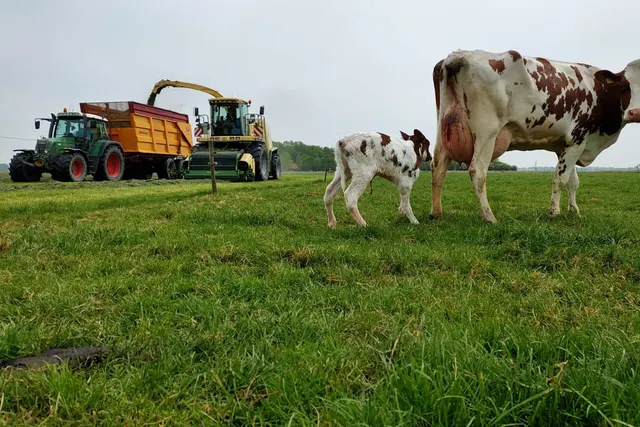 Minicamping Hof Zwagerman
