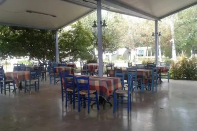 Verdelis