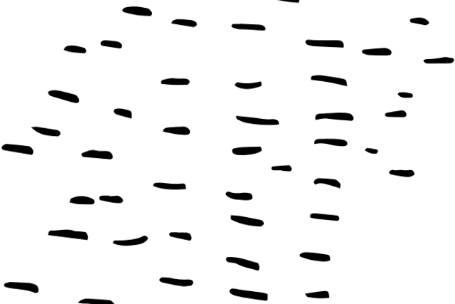 Račí hrad
