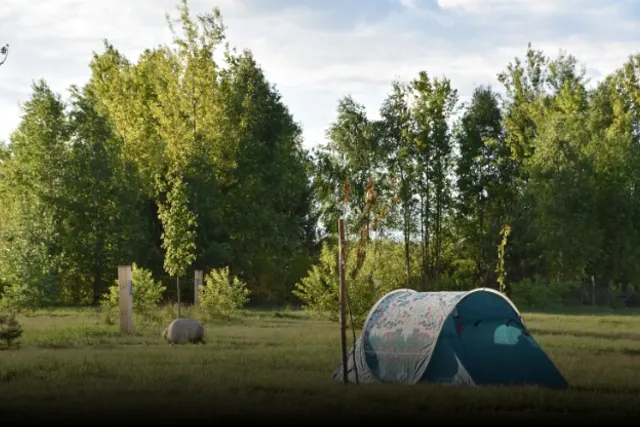 Camping Narva