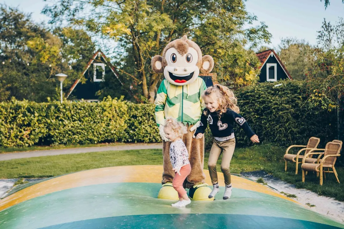 Vakantiepark T Hooge Holt