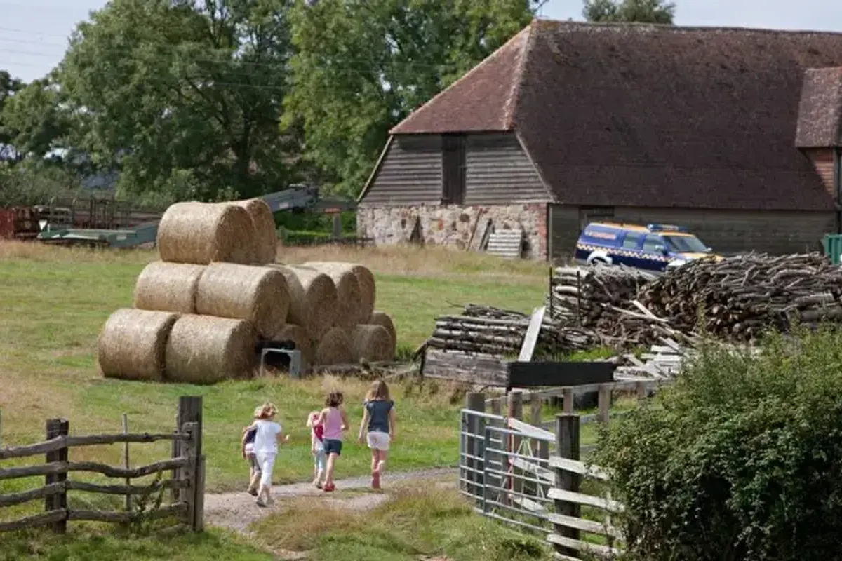 Lunsford Farm - Feather Down