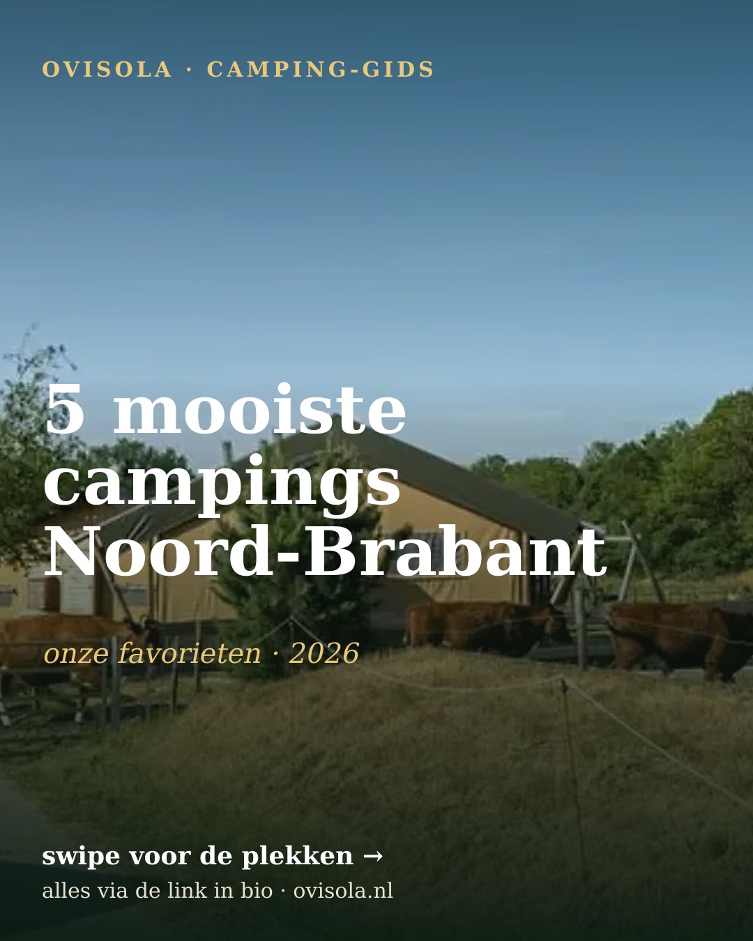 5 mooiste campings Noord-Brabant