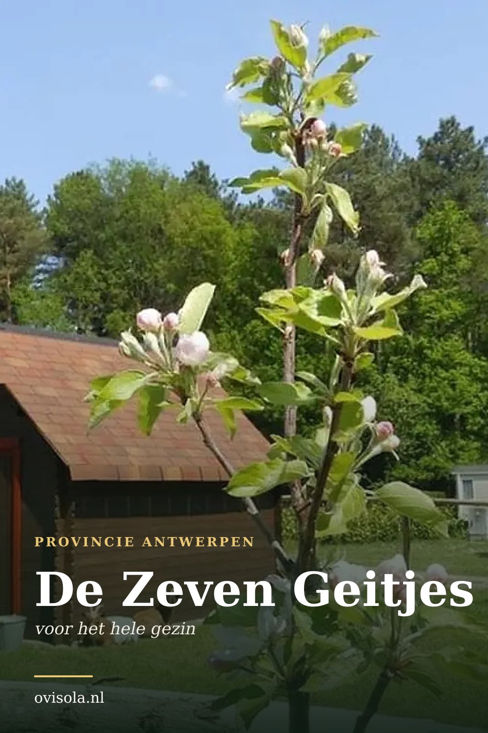De Zeven Geitjes: kamperen in Provincie Antwerpen
