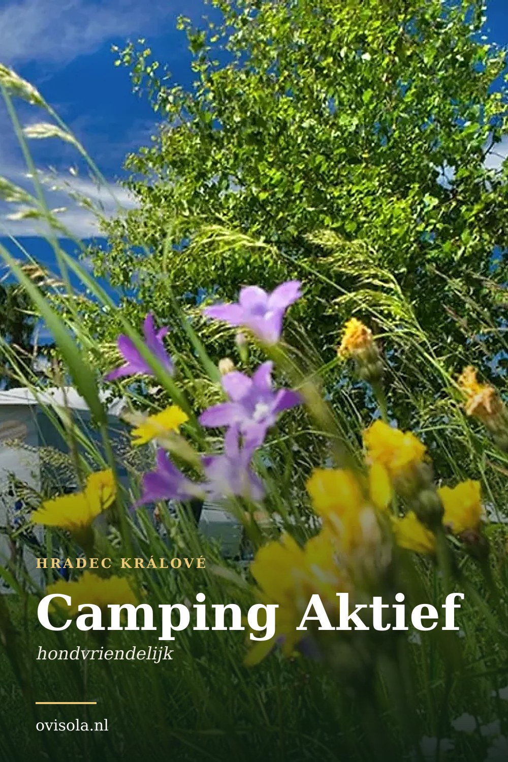 Camping Aktief: kamperen in Hradec Králové