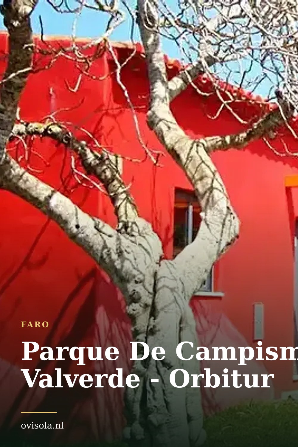 Parque De Campismo Valverde - Orbitur: kamperen in Faro
