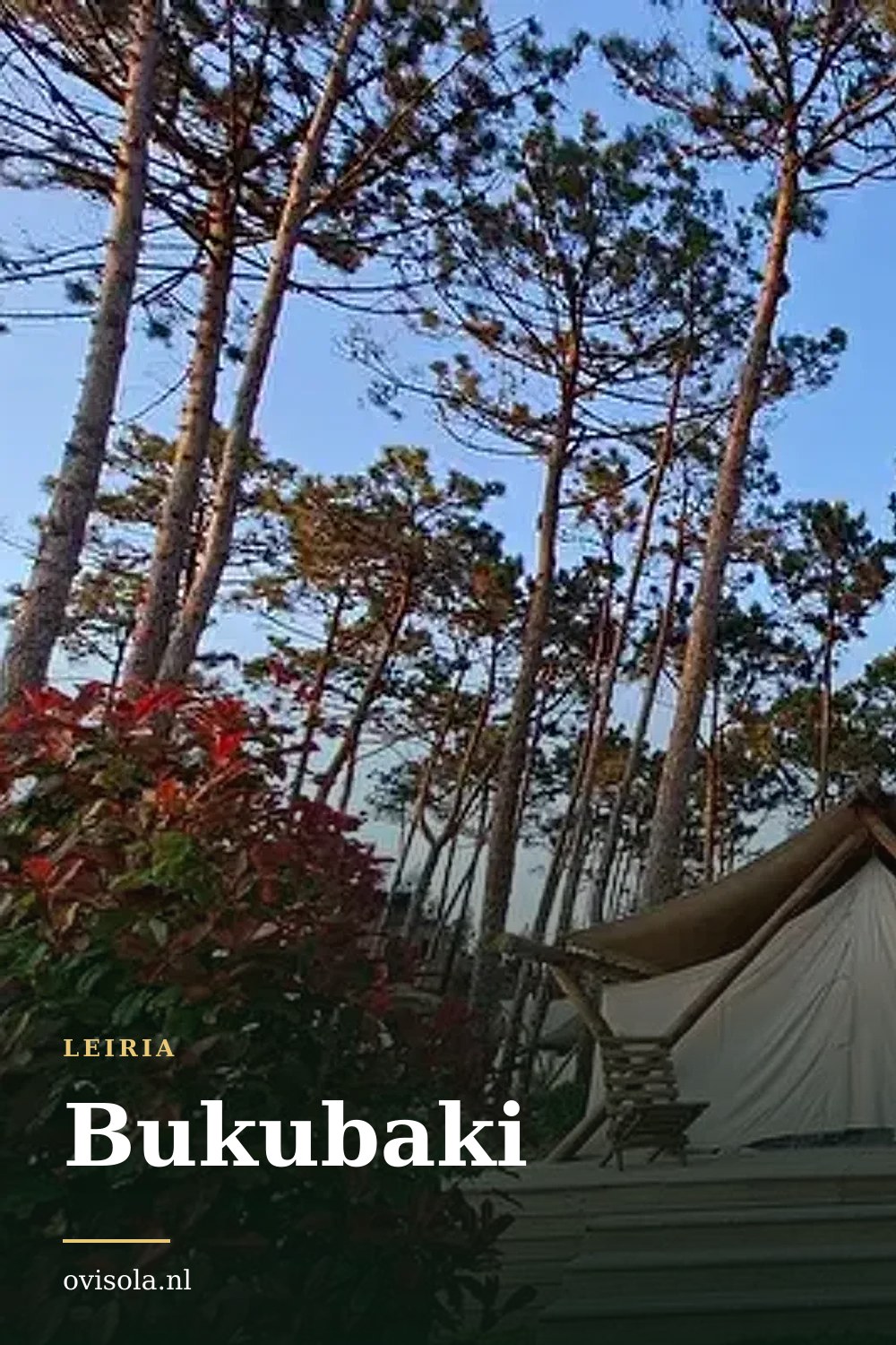 Bukubaki: kamperen in Leiria