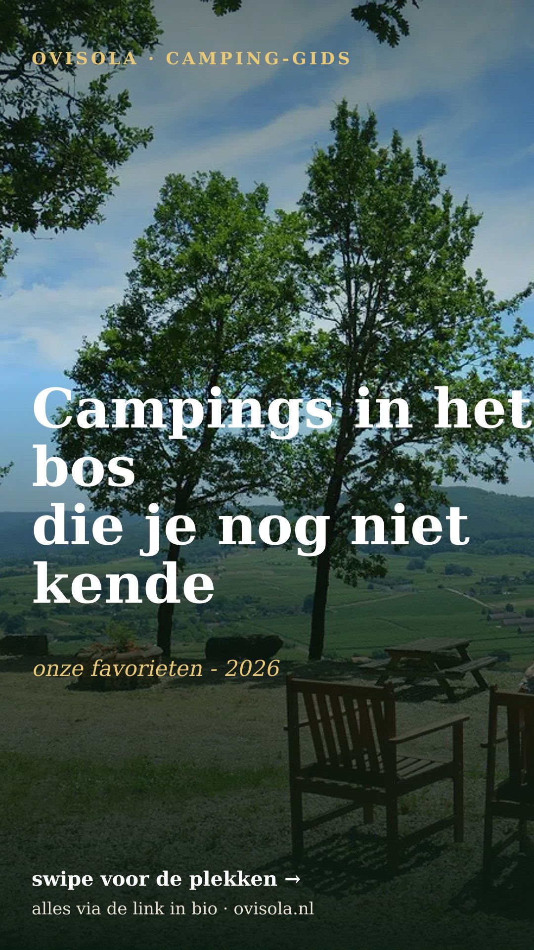 Campings in het bos die je nog niet kende