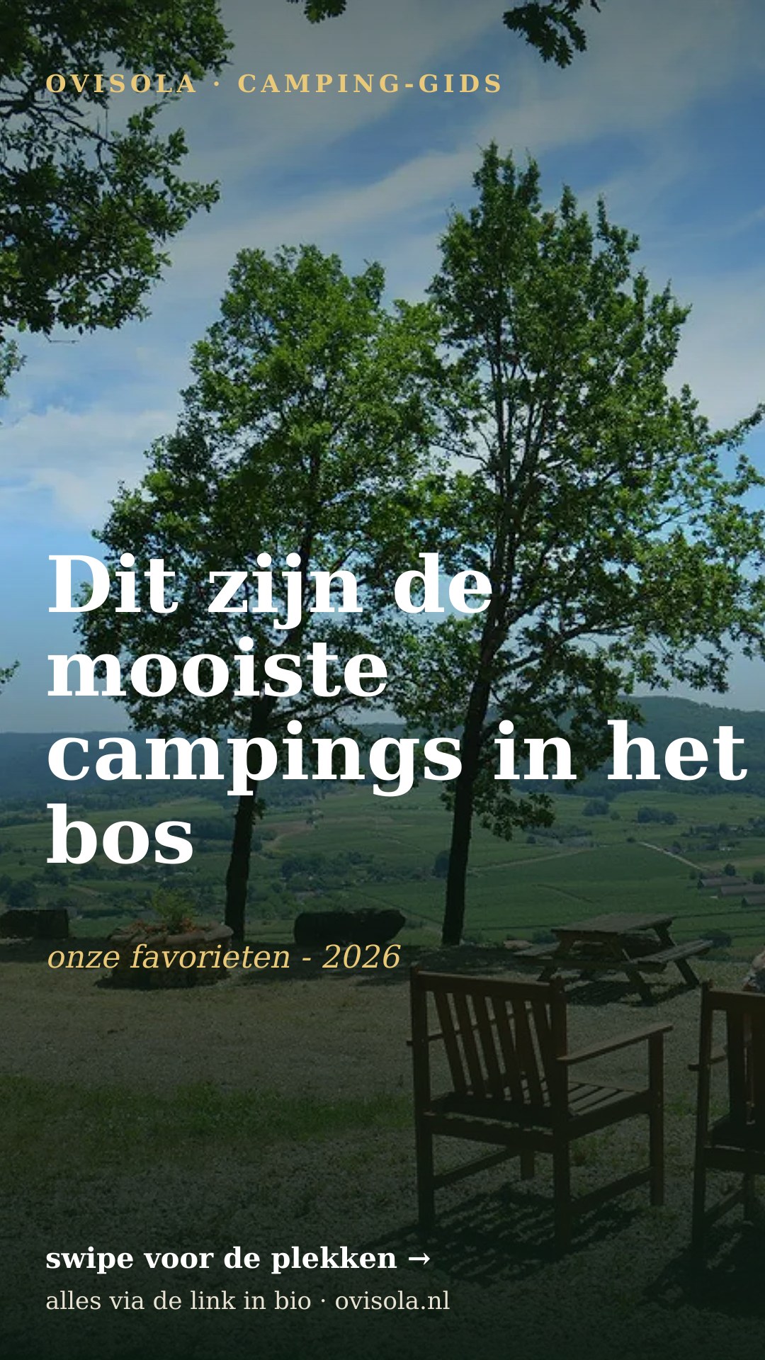 Dit zijn de mooiste campings in het bos