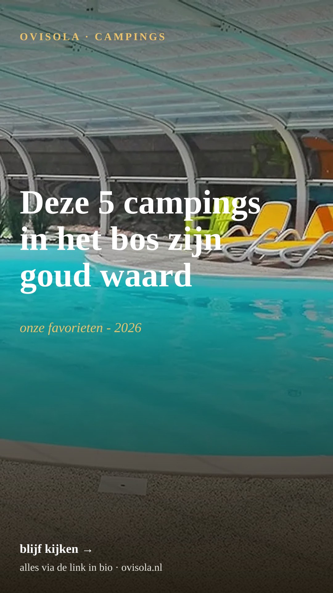 Deze 5 campings in het bos zijn goud waard