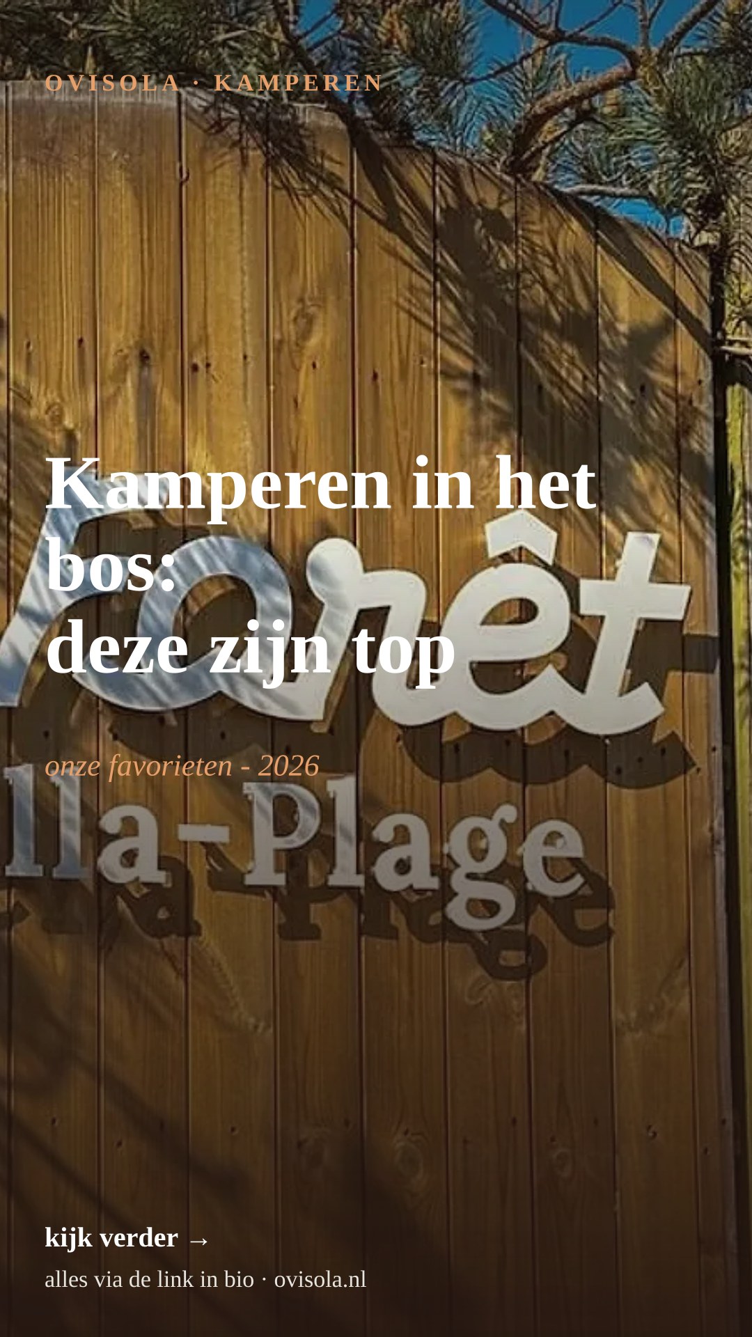 Kamperen in het bos: deze zijn top ⛺