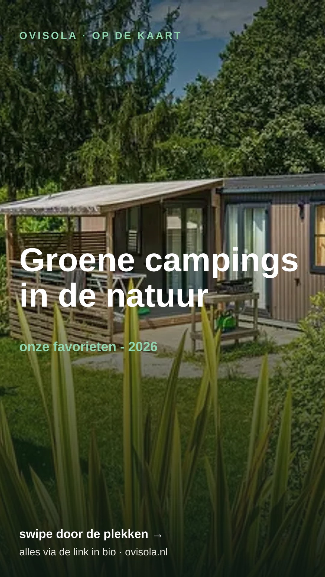 Groene campings in de natuur 🌲